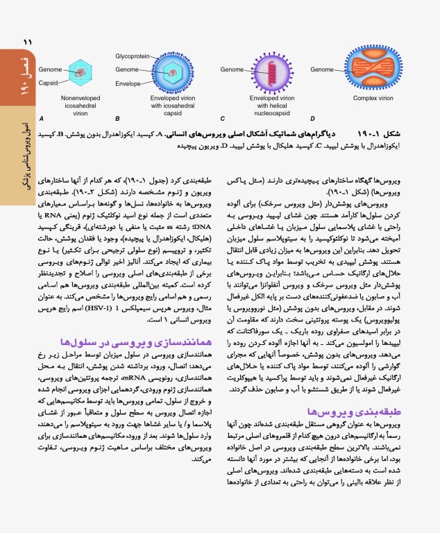 اصول طب داخلی هاریسون 2022 بیماری‌های عفونی (ویروس، تک‌‏یاخته، ایدز، کرم)