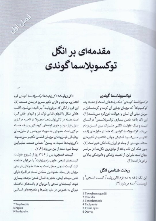 نانوتکنولوژی در درمان بیماری عفونی توکسوپلاسموز