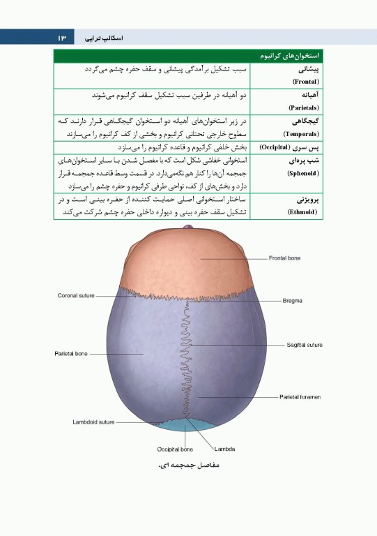 اسکالپ تراپی طب سوزنی سر