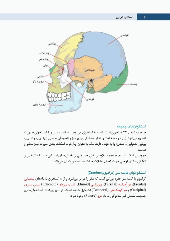 اسکالپ تراپی طب سوزنی سر