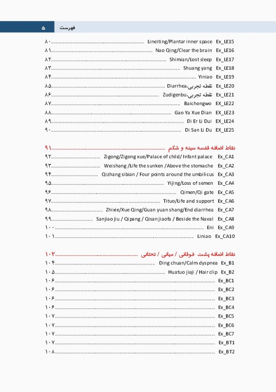 نقاط اضافه طب سوزنی بدن