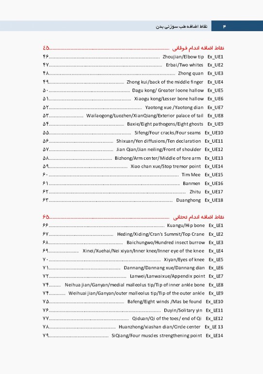 نقاط اضافه طب سوزنی بدن