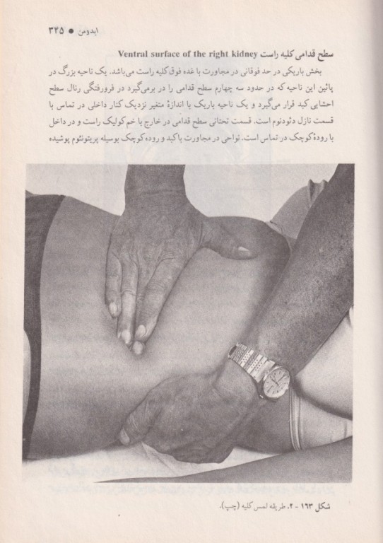 آناتومی جلد2 شکم (ابدومن) بهمراه اطلس رنگی گلاسه