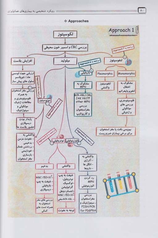 رویکرد تشخیصی به بیماری‌های هماتولوژی