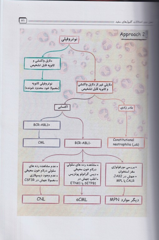 رویکرد تشخیصی به بیماری‌های هماتولوژی