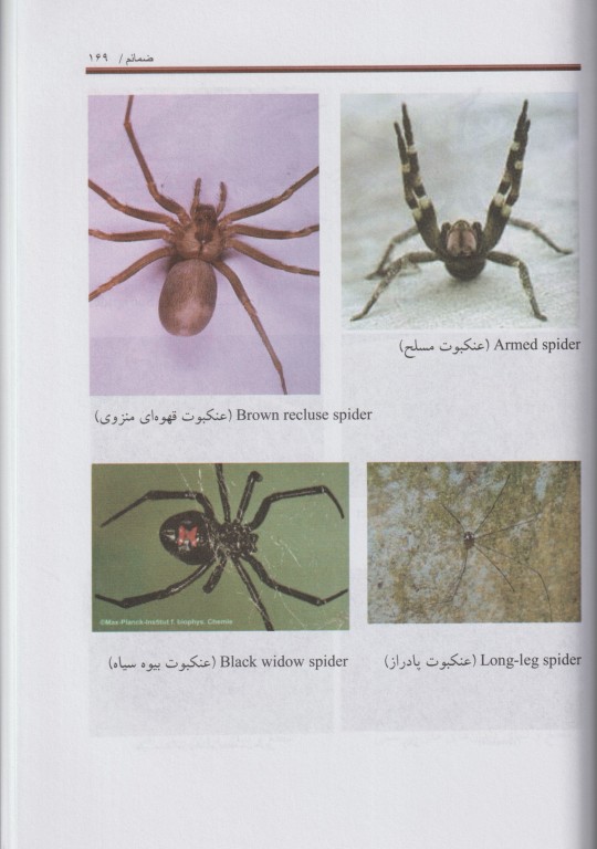 ترجمه مباحث بیماری‌های ناشی از آسیب‌های محیطی تینتینالی