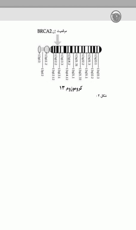 پیشگیری و تشخیص سرطان‌های پستان و تخمدان
