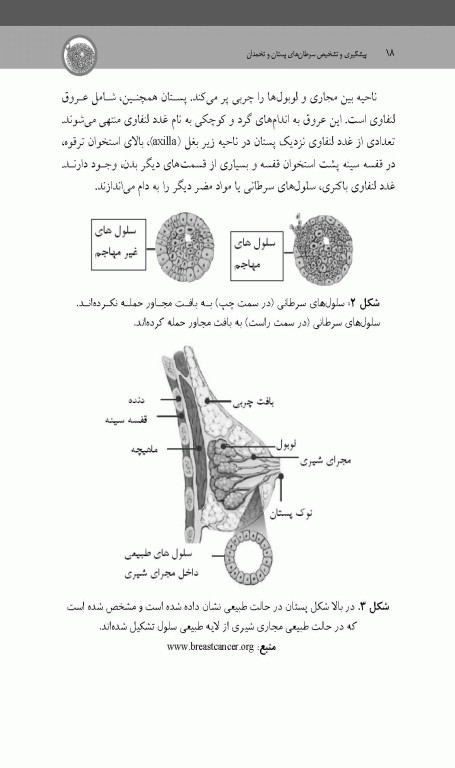 پیشگیری و تشخیص سرطان‌های پستان و تخمدان