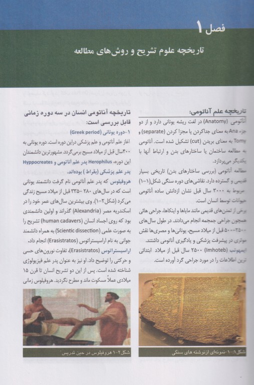 مقدمات علوم تشریح