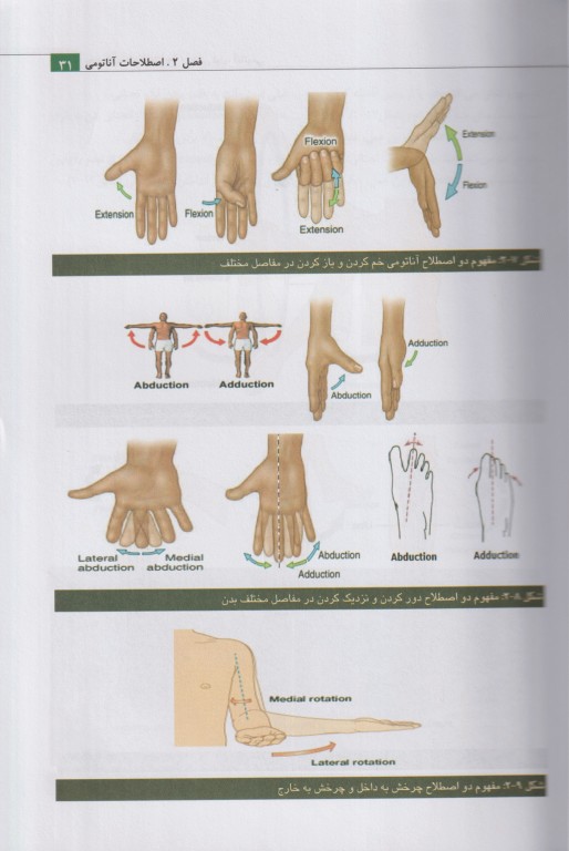 مقدمات علوم تشریح
