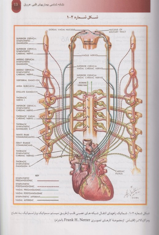 نشانه‌شناسی بیماری‌های قلبی عروقی بر اساس فیزیوپاتولوژی