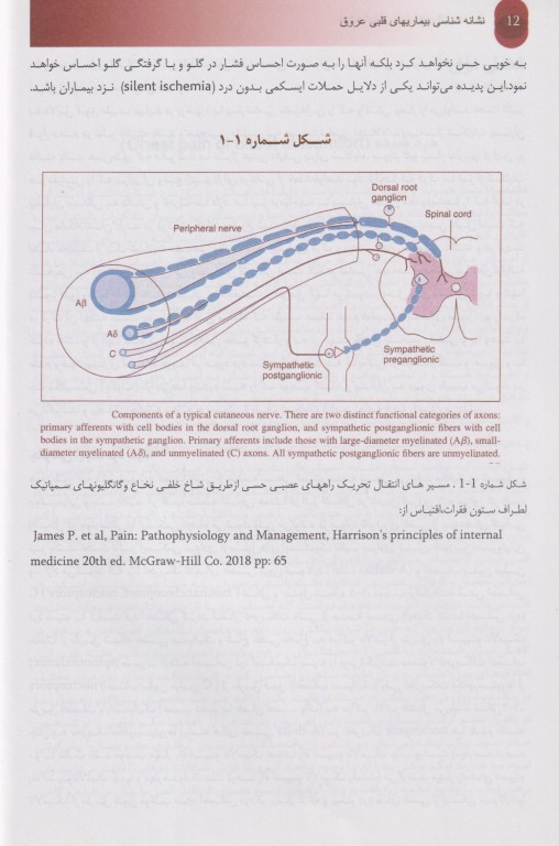 نشانه‌شناسی بیماری‌های قلبی عروقی بر اساس فیزیوپاتولوژی