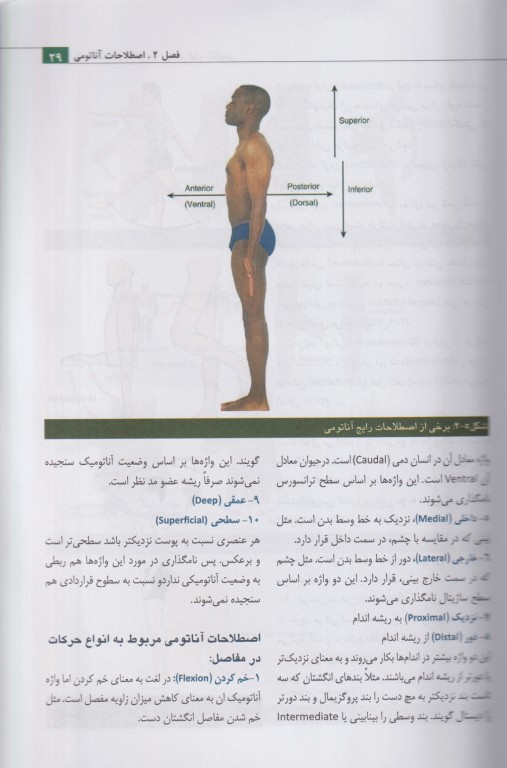 مقدمات علوم تشریح