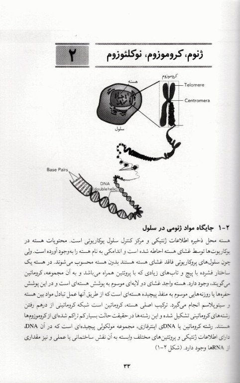 ژنتیک مولکولی مقدماتی تا پیشرفته