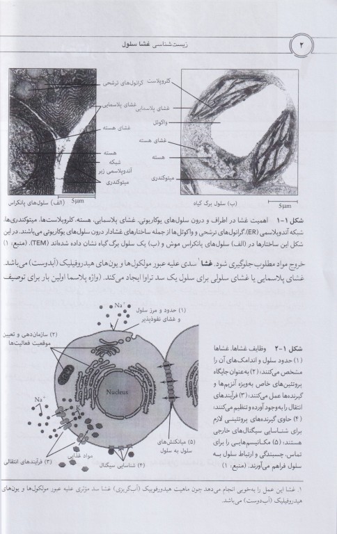 زیست‌شناسی غشاء سلول