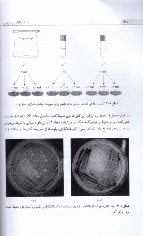 میکروب‌شناسی مواد غذایی راهنمای آزمایشگاه