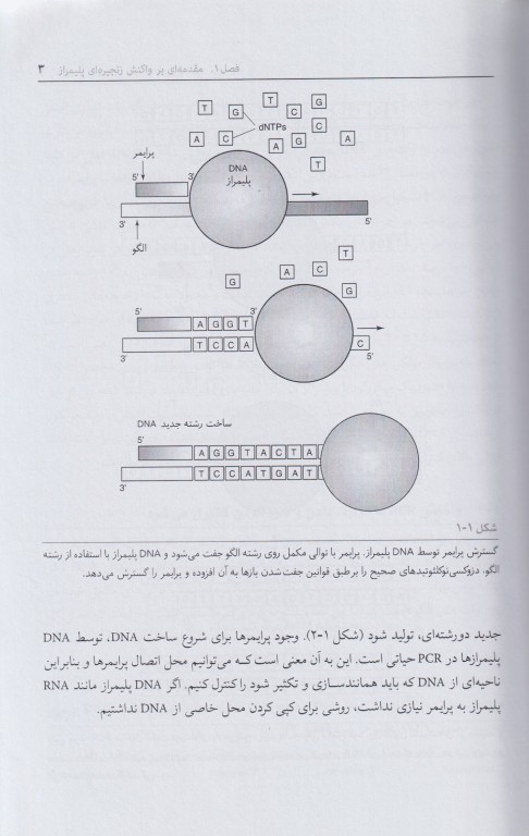 واکنش زنجیره‌ای پلیمراز PCR