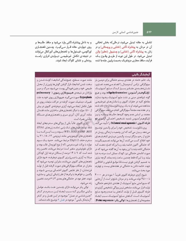 جنین‌شناسی انسانی لارسن 2021