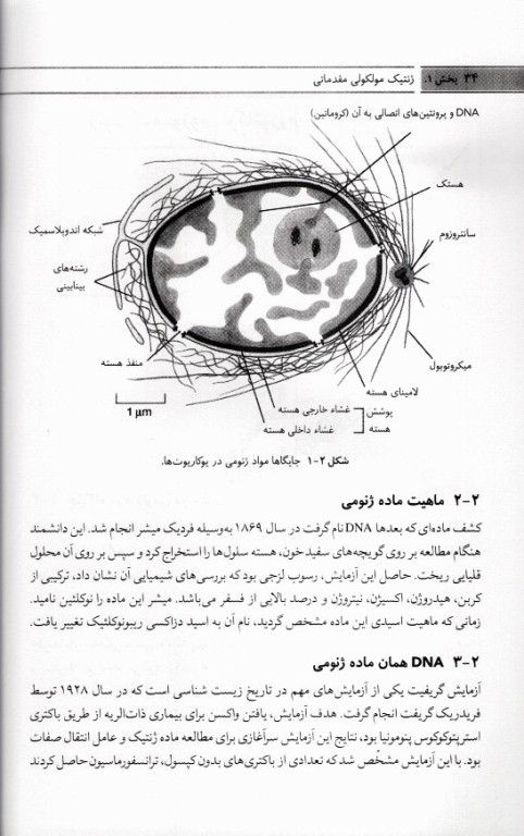 ژنتیک مولکولی مقدماتی تا پیشرفته