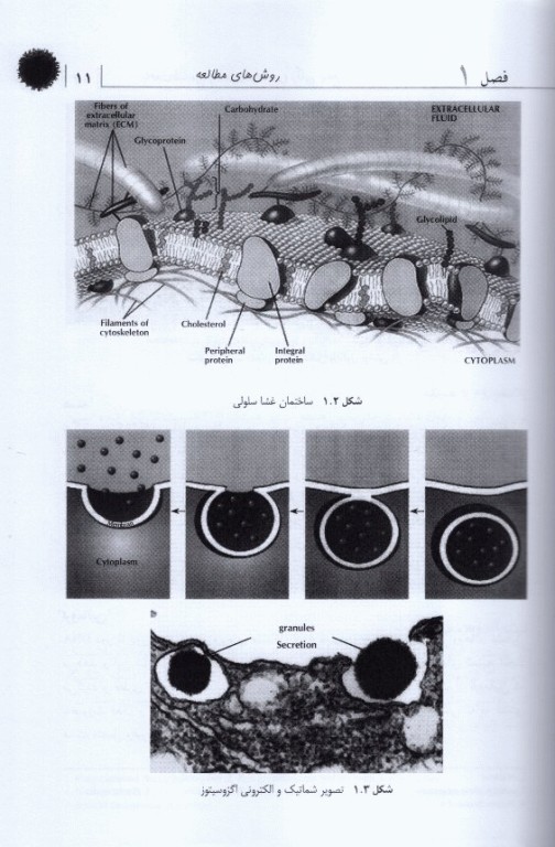 بافت‌شناسی به همراه اطلس رنگی جامع