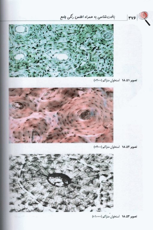 بافت‌شناسی به همراه اطلس رنگی جامع
