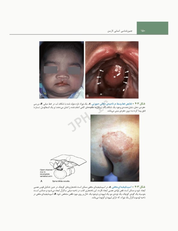 جنین‌شناسی انسانی لارسن 2021