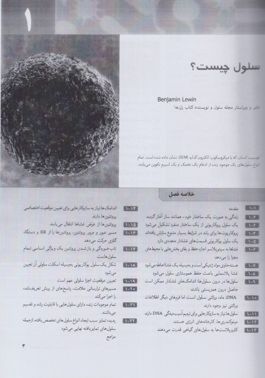 سلول جلد اول