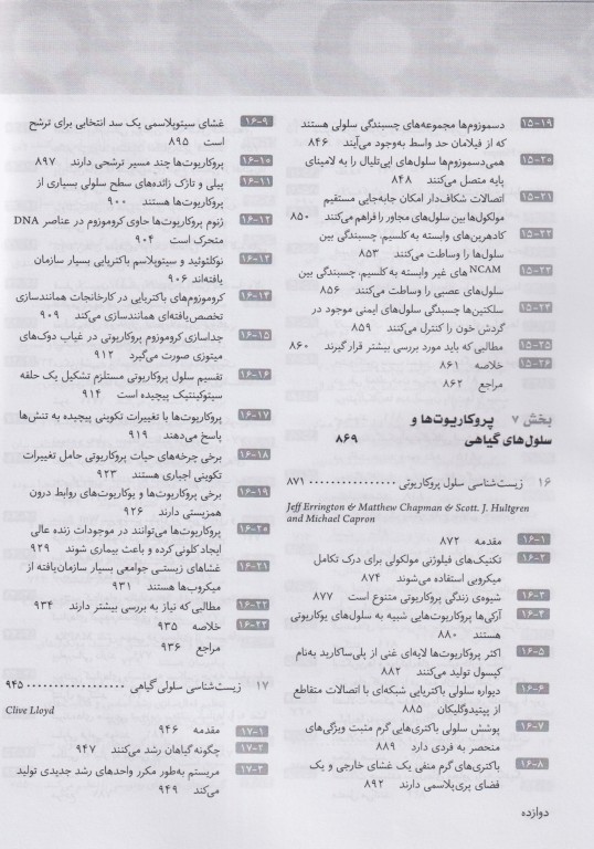 سلول جلد دوم