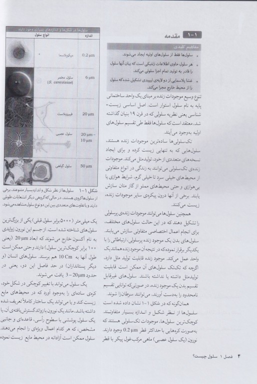 سلول جلد اول