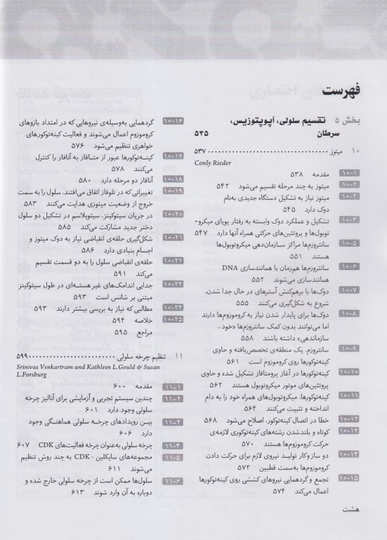 سلول جلد دوم