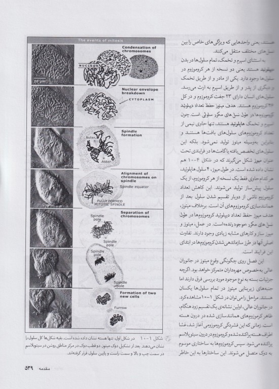 جذاب‌ترین مدارات الکتریکی برای مهندسی پزشکی