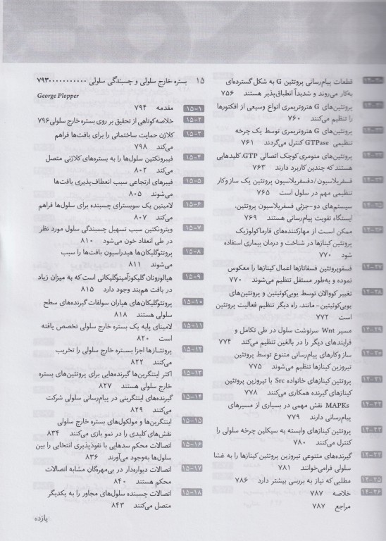 سلول جلد دوم