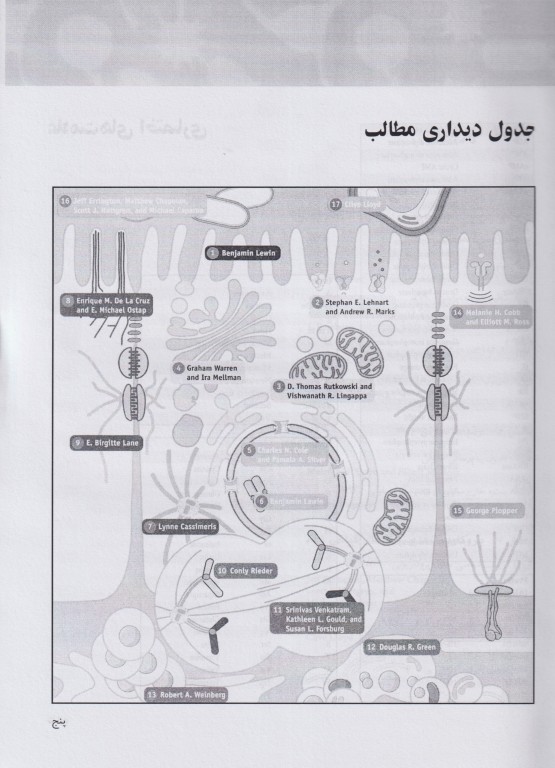 Key book کتاب کلیدی اصول مدیریت در پرستاری