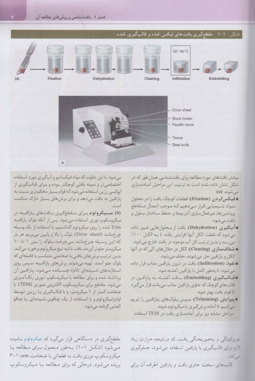 بافت‌شناسی پایه جان کوئیرا 2024 دکتر حسن‌زاده
