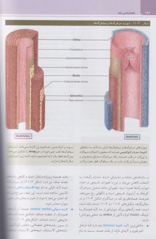 بافت‌شناسی پایه جان کوئیرا 2024 دکتر حسن‌زاده