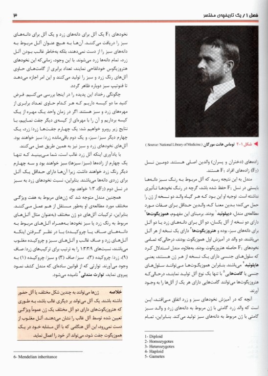 زیست شناسی مولکولی ویور جلد اول