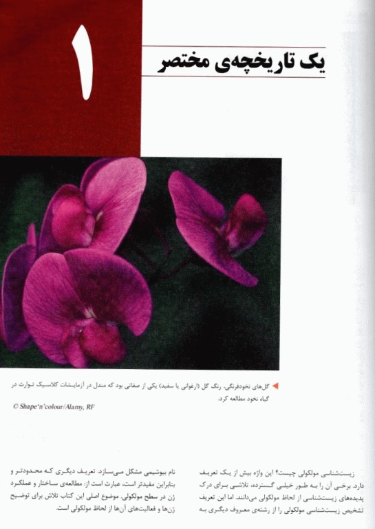 زیست شناسی مولکولی ویور جلد اول