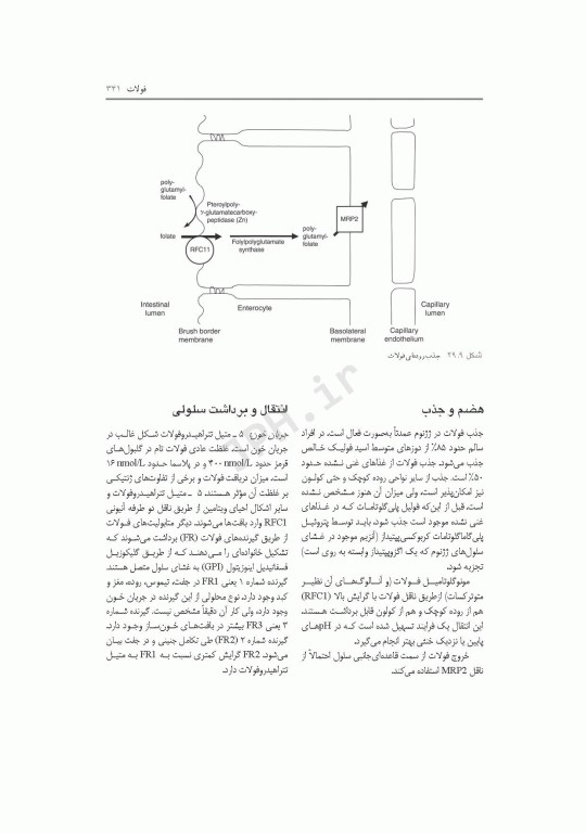 متابولیسم مواد مغذی