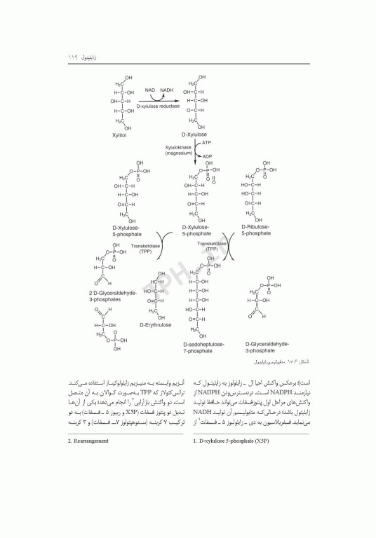 متابولیسم مواد مغذی