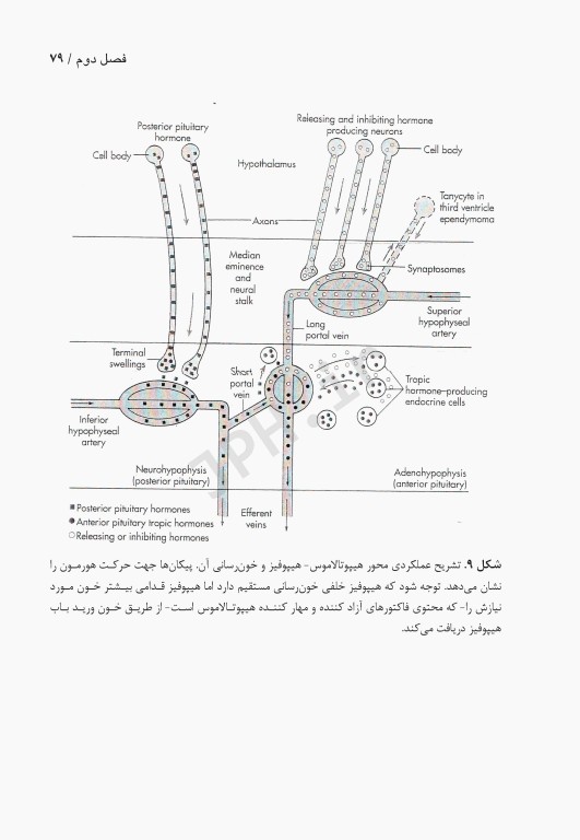فیزیولوژی پیشرفته دستگاه هیپوفیز هیپوتالاموس