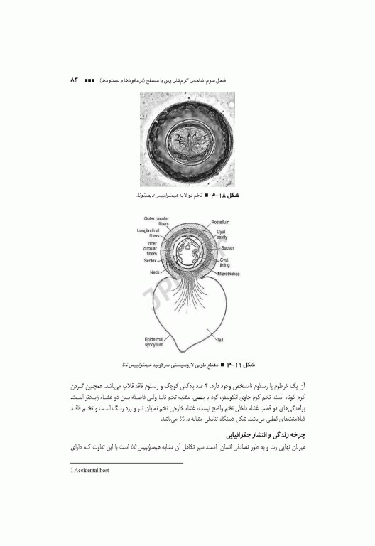 کرم‌شناسی پزشکی دکتر محمدامین قطعی