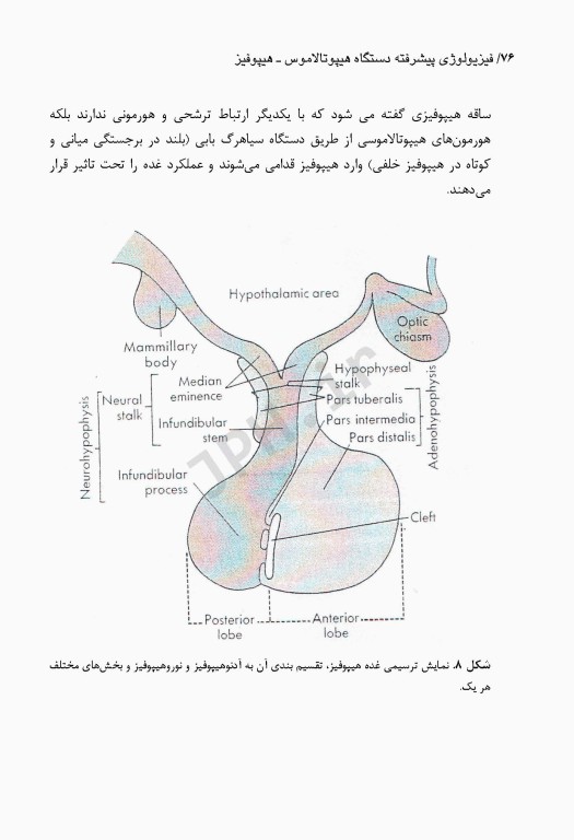 فیزیولوژی پیشرفته دستگاه هیپوفیز هیپوتالاموس