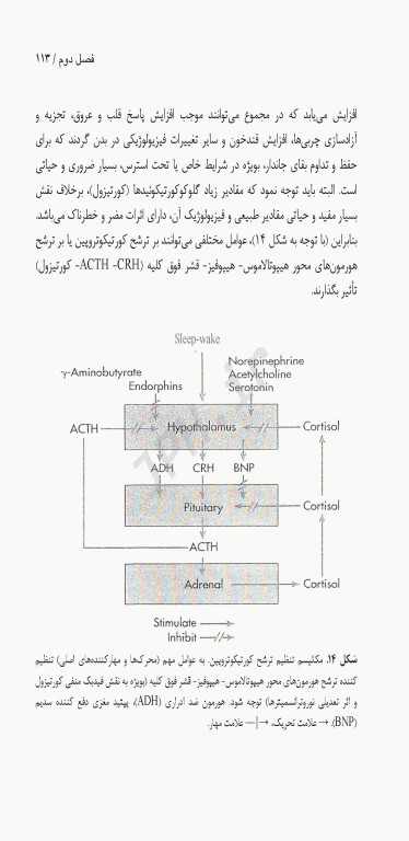 فیزیولوژی پیشرفته دستگاه هیپوفیز هیپوتالاموس