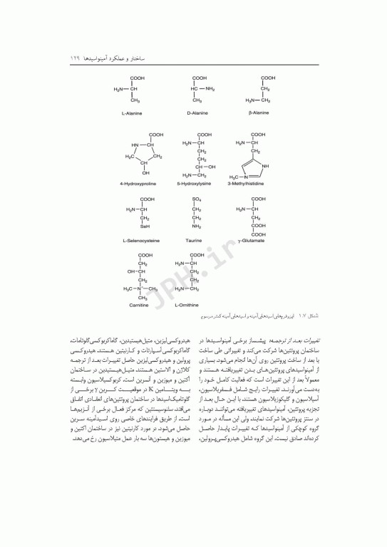 متابولیسم مواد مغذی