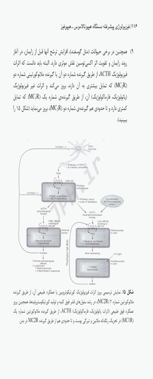 فیزیولوژی پیشرفته دستگاه هیپوفیز هیپوتالاموس