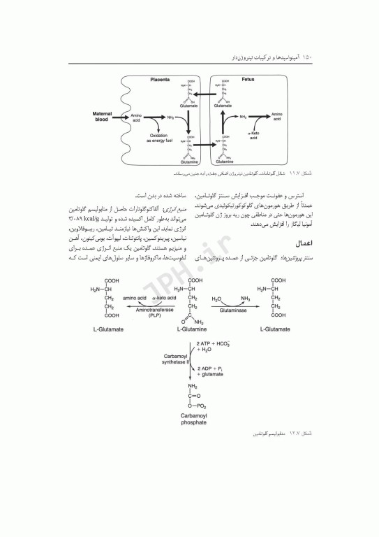 متابولیسم مواد مغذی