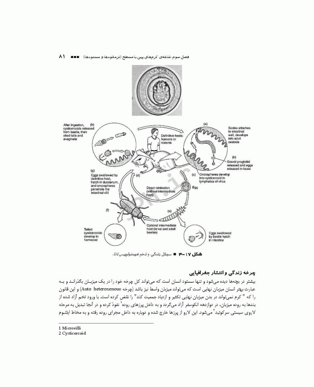 کرم‌شناسی پزشکی دکتر محمدامین قطعی