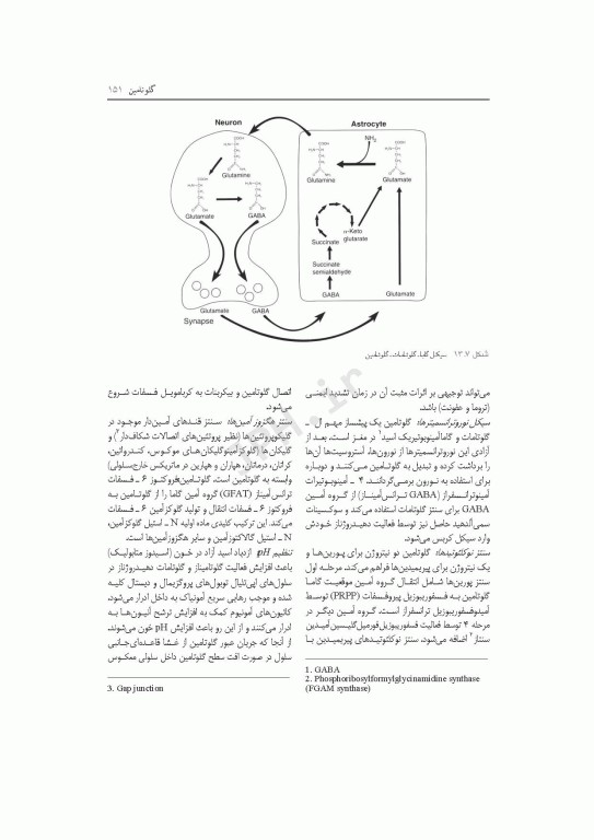 متابولیسم مواد مغذی