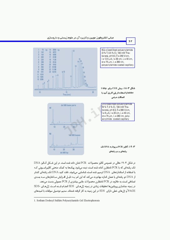 مبانی الکتروفورز مویین و کاربرد آن در علوم زیستی و داروسازی