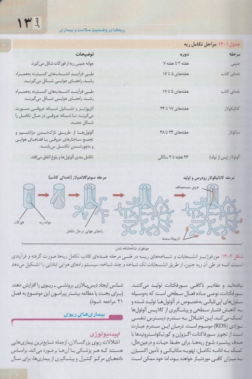 مبانی طب داخلی سسیل 2022 بیماری‌های تنفسی و اصول مراقبت‌های ویژه ریوی